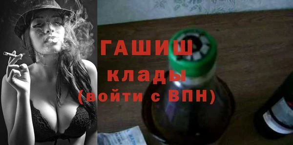 тгк Бородино