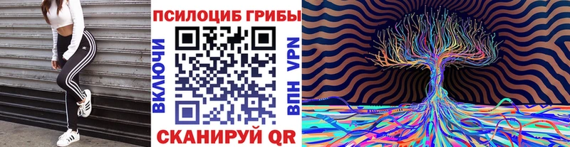 Галлюциногенные грибы MAGIC MUSHROOMS  Купить  Нерчинск 