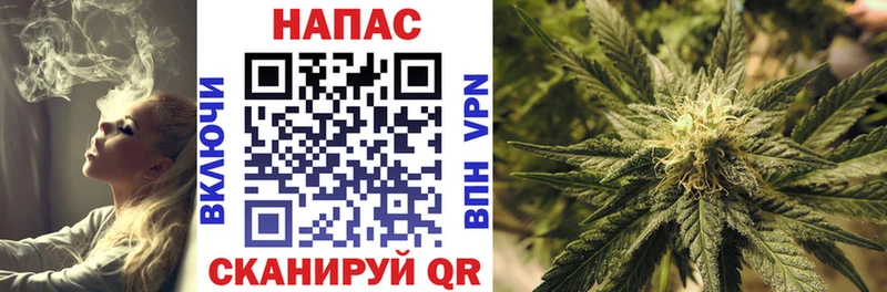 Купить  Нерчинск  Конопля гибрид 